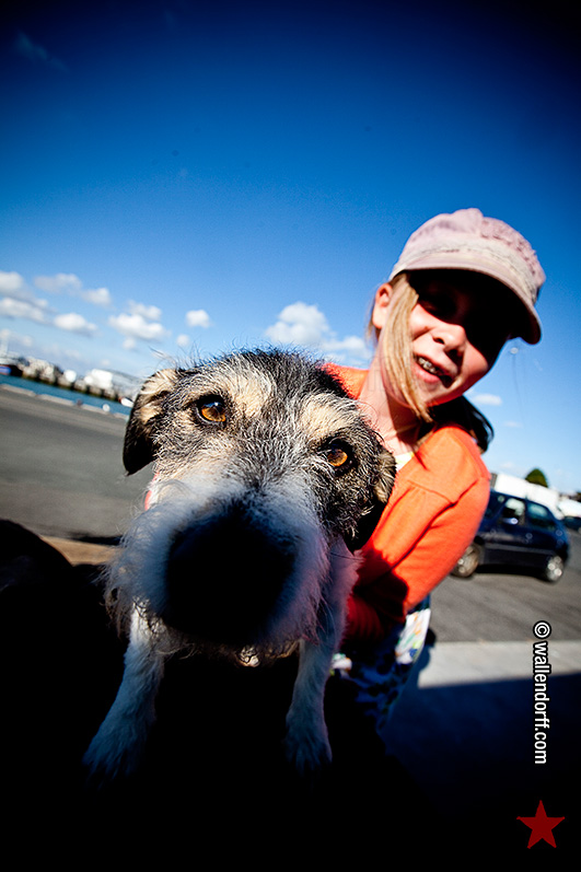 Shooting doggies #3.
