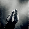The Dead Weather @ la Cigale, Paris, 29/06/2009