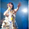 Yeah Yeah Yeahs @ Rock en Seine 2009, Domaine National de Saint-Cloud | 28.08.2009